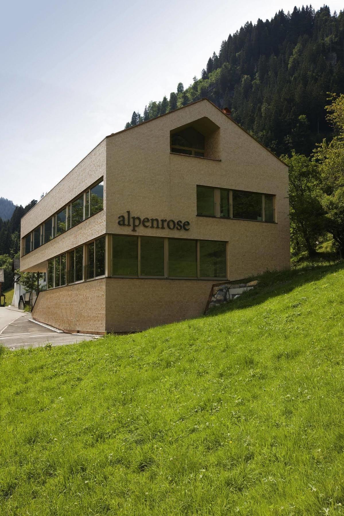 Hotel Alpenrose Ebnit Дорнбирн Экстерьер фото